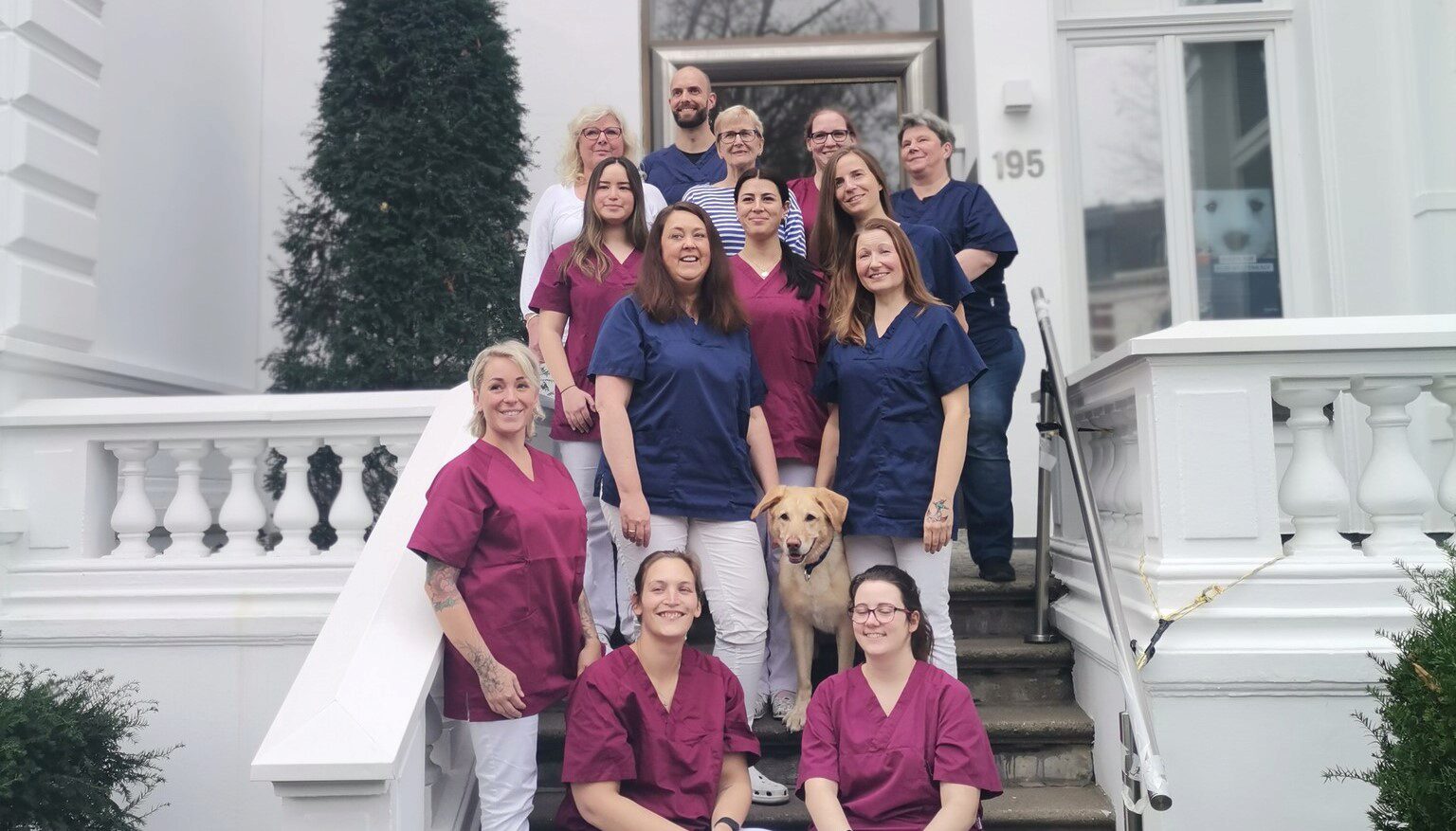 Teaserbild Tiermedizin am Rothenbaum Deckena & Dr. Elsner GmbH