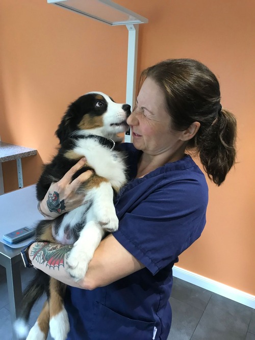 Tiermedizin am Rothenbaum Deckena & Dr. Elsner GmbH - unsere Vision